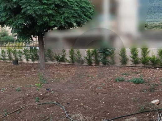 Standalone Home, garden,Der Nbouh, Zgharta/دير نبوه,زغرتا REF#PC135120 — 8