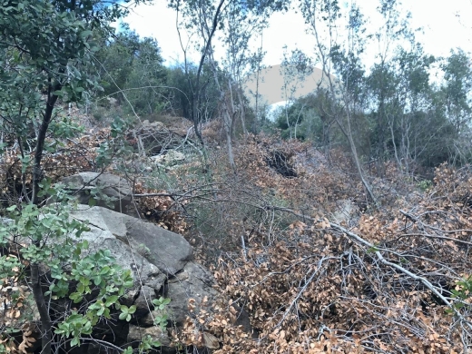 Hot Deal for Investors & Developers - Adonis – Jbeil REF#RS130048 — 2