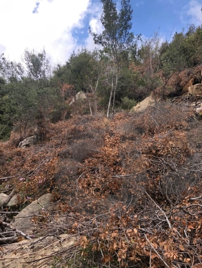 Hot Deal for Investors & Developers - Adonis – Jbeil REF#RS130048 — 3
