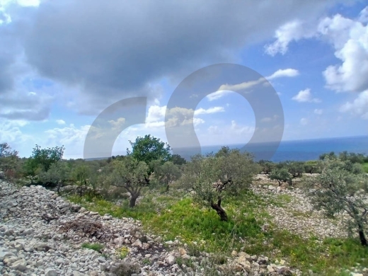Open View,Landscaped Plot, Jbeil - Monsef/المنصف – جبيل REF#DC134476 — 3