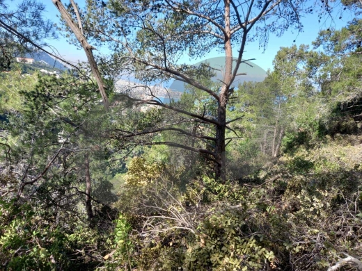 Prime Land for Sale in Kfarhbab– keserwan ! REF#RS131085 ! — 2