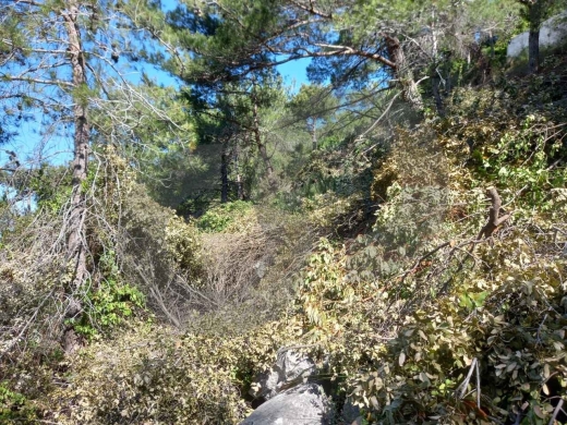 Prime Land for Sale in Kfarhbab– keserwan ! REF#RS131085 ! — 4