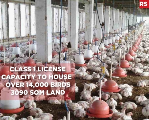 Chicken Farm in Jbeil for sale With class 1 license REF#RS120796