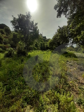 completely flat ,ideal for investment project-Aamchit REF#RS120134 — 3