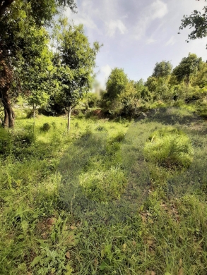 completely flat ,ideal for investment project-Aamchit REF#RS120134 — 2