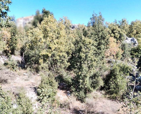CALMEST AREA / 1100 SQM LAND IN FAITROUN -فيطرون FOR SALE — 2