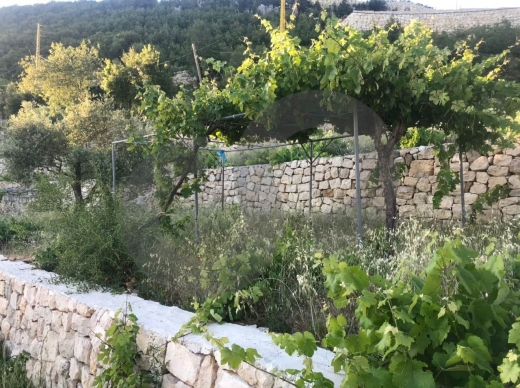 traditional house in mechmech/مشمشREF#RS108251 — 3