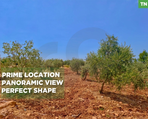 LAND/20/40 zoning/Bnacheh, Zgharta/ بنعشي – زغرتا/Ideal for a private villa or investment/ REF#TN139712 !