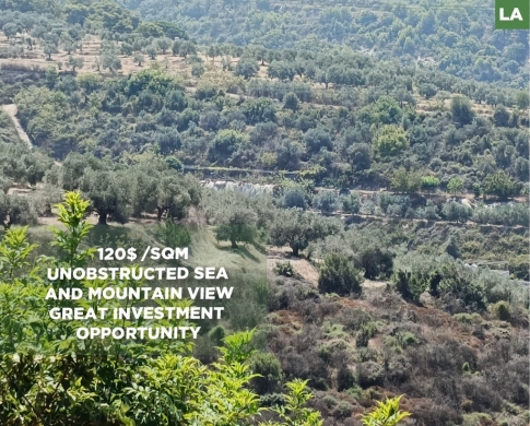 PANORAMIC SEA AND MOUNTAIN VIEW / LAND FOR SALE / MAGHDOUCHE-SAIDA / مغدوشة / REF#LA139655