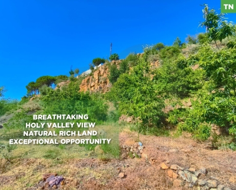 Stunning Holy Valley View/North/Zgharta-زغرتا/Hawka-حوقا/REF#TN139335