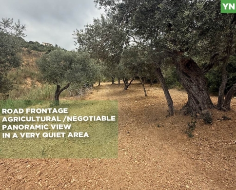 AGRICULTURAL LAND/ panoramic view, in a very quiet area/ZGHARTA,ALMA/علما/ REF#YN139219 !