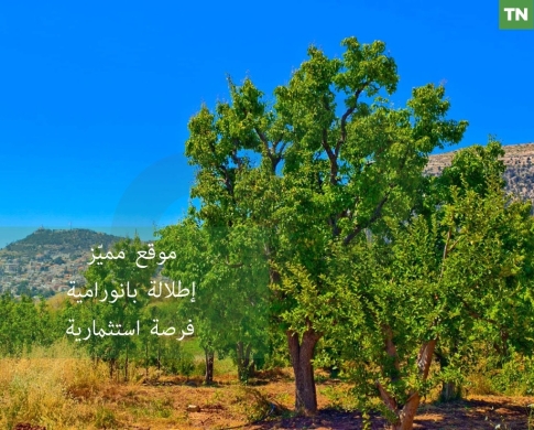 PRIME LOCATION, LAND FOR SALE, EHDEN-ZGHARTA, إهدن, REF#TN139167
