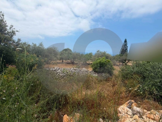 LAND FRO SALE, PRIME LOCATION, MONSEF-JBEIL, منصف REF#CL138653 — 3