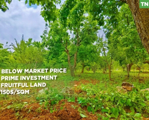5,700 SQM Prime Land in Boufa – Ehden | 20/40 Zoning | Below Market Price, REF#TN138604