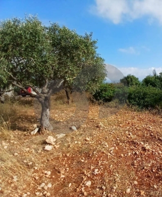 LAND FOR SALE, GREAT DEAL, DEDDEH-KOURA, دده , REF#RL138529 — 2