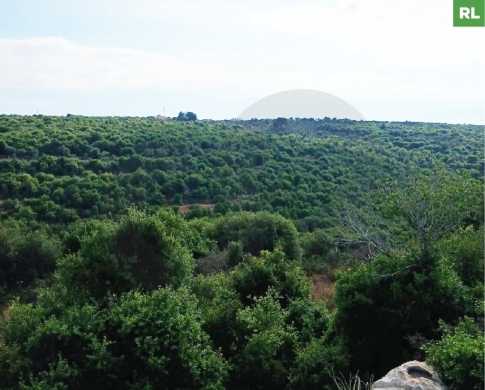 LAND FOR SALE, GREAT DEAL, DEDDEH-KOURA, دده , REF#RL138529