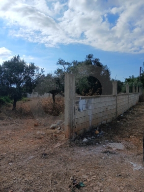 LAND FOR SALE, GREAT DEAL, DEDDEH-KOURA, دده , REF#RL138529 — 3