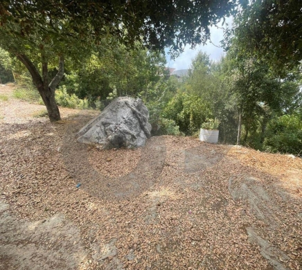LAND FOR SALE, SEA VIEW, FATRE-JBEIL, جبيل , REF#MG138240 — 3