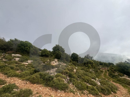PANORAMIC SEA MOUNTIAN VIEW, PRIME LAND, OBEIDAT-JBEIL, عبيدات, REF#WR138185 — 4