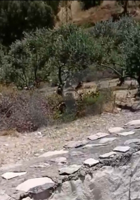 PRIME LOCATION, LAND FOR SALE, BATROUN, بترون - الهري, REF#RL138113 — 2