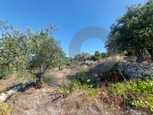 GREAT LAND FOR SALE, PEACEFUL AREA, Cheikhane-JBEIL, شيخان, REF#YC138107 — 2
