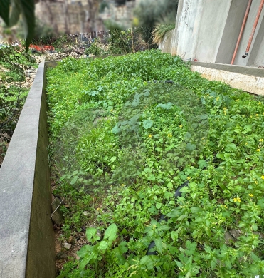 Brand new, sea view, Garden, jbeil, halat/حالات REF#CO138081 — 7