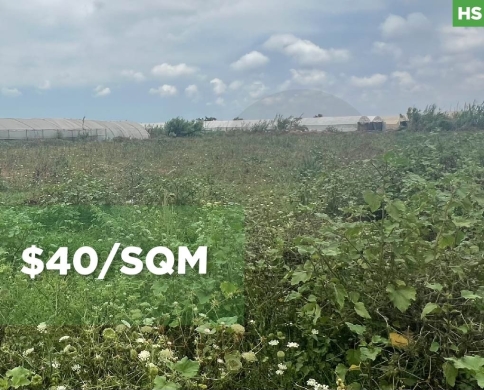 Agricultural investment, great deal, akkar, samouniyi/السمونية REF#HS138038