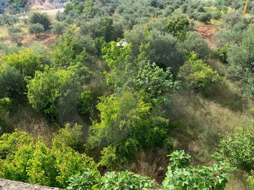 Great deal, prime location, Open view, koura, kousba/كوسبا REF#YT137732 — 3