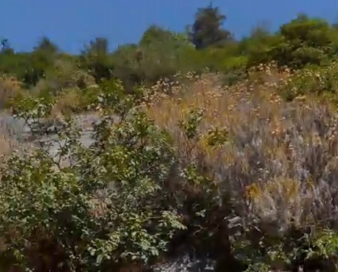 Prime Land/Stunning views/Zgharta - Karm Saadeh/كرم سعادة/REF#PC137513 — 7
