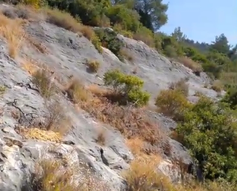 Prime Land/Stunning views/Zgharta - Karm Saadeh/كرم سعادة/REF#PC137513 — 4