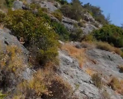 Prime Land/Stunning views/Zgharta - Karm Saadeh/كرم سعادة/REF#PC137513 — 6