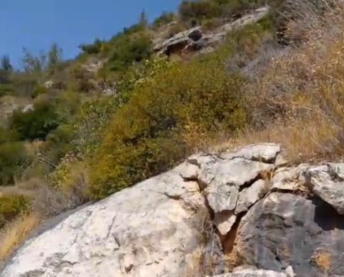Prime Land/Stunning views/Zgharta - Karm Saadeh/كرم سعادة/REF#PC137513 — 5