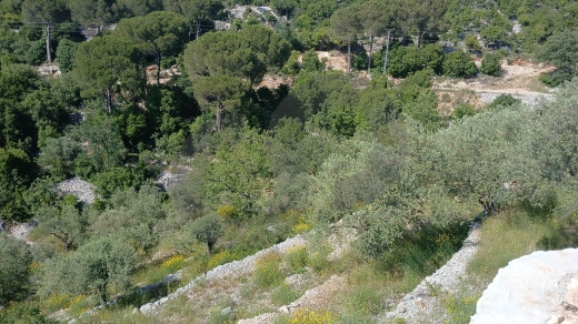 mountain views, Payment facilities, batroun assia/ آسيا REF#BR137474 — 2
