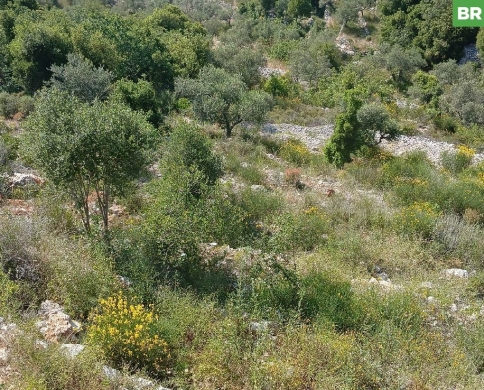 panoramic mountain view,Assia, Batroun/آسيا، البترون REF#BR137472