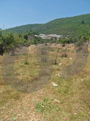 LAND/ peaceful area of Jouret El Qattine/جورة القطين/ REF#RG137305 ! — 3