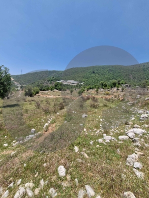 LAND/ peaceful area of Jouret El Qattine/جورة القطين/ REF#RG137305 ! — 2