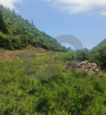 industrial land, great deal, Maaysrah, Keserouan/معيصرة REF#CL137220 — 3