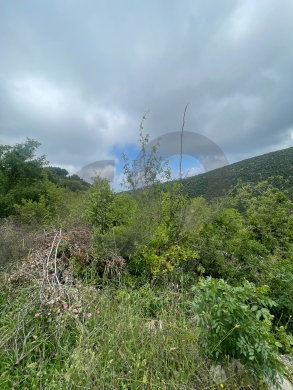 open view, peaceful area, spacious, Breij, Jbeil/بريج REF#NI137062 — 2