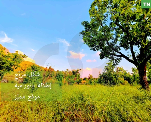 أرض / LAND / EHDEN/إهدن /ZONING : 25/50/ مناسب لبناء فيلا أو مشروع سكني/ REF#TN136993 !