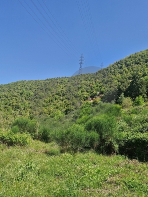 easy road access, near highway, jbeil, fdar/فدار REF#RG136913 — 2