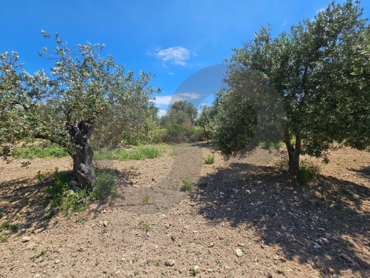 Investment opportunity, negotiable, near highway, zgharta/زغرتا REF#PC136881 — 4