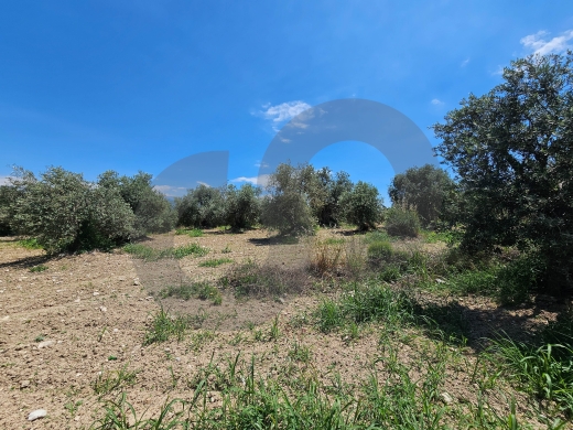 Investment opportunity, negotiable, near highway, zgharta/زغرتا REF#PC136881 — 3