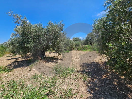 Investment opportunity, negotiable, near highway, zgharta/زغرتا REF#PC136881 — 2