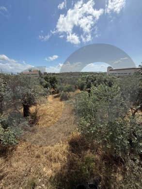 LAND/أرض / PRIME LOCATION IN ZGHARTA/علما / REF#YN136766 ! — 3
