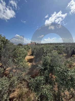 LAND/أرض / PRIME LOCATION IN ZGHARTA/علما / REF#YN136766 ! — 2