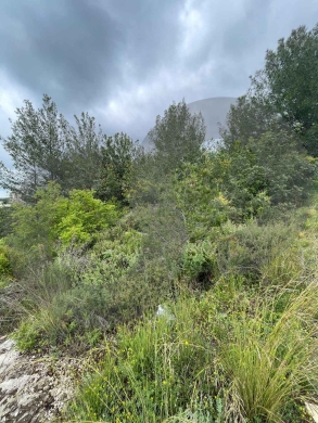 LAND/beautiful sea view and a prime location/BLAT,JBEIL/بلاط/ REF#NI136754 ! — 2