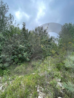 LAND/beautiful sea view and a prime location/BLAT,JBEIL/بلاط/ REF#NI136754 ! — 4