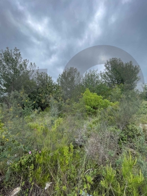 LAND/beautiful sea view and a prime location/BLAT,JBEIL/بلاط/ REF#NI136754 ! — 6