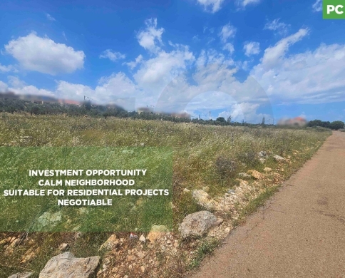 Investment opportunity , great deal, koura, nakhleh/نخله REF#PC136577