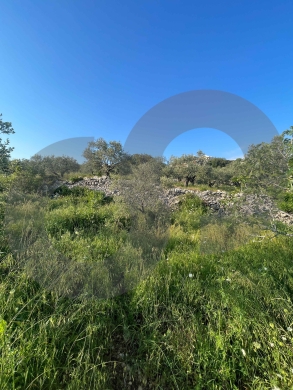 LAND/ Rihaneh, Jbeil/ peaceful area/ريحانة/ REF#NI136501 ! — 4